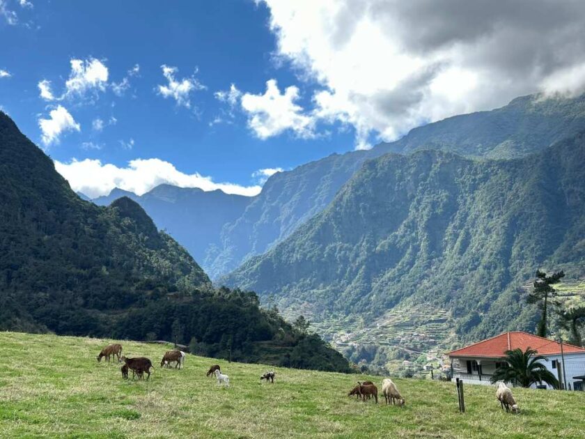 Boa Ventura klidný sever ostrova Madeira