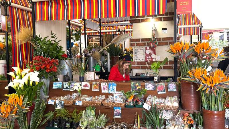 Mercado dos Lavradores kdy navštívit tržnici