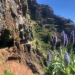 Vereda do Pico Areeiro PR 1
