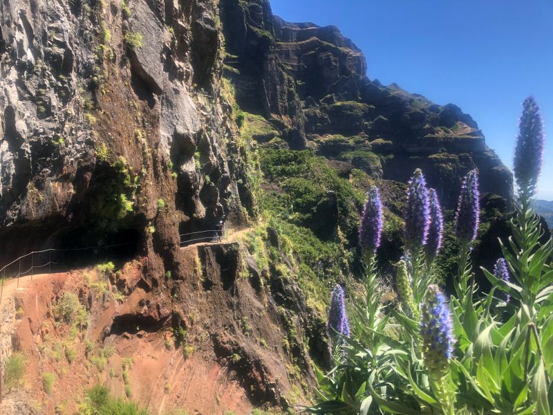 Vereda do Pico Areeiro PR 1