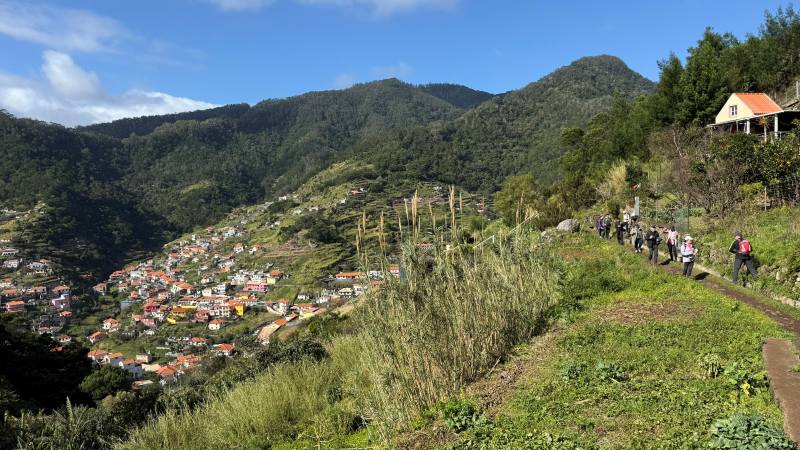Levada Canical